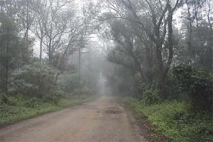 Parque Ecológico do Tietê